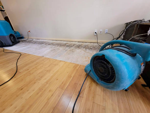 Professional Basement Flood Cleanup technician working in Pelham, NY